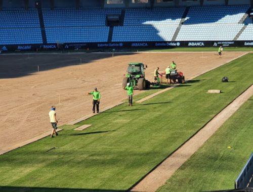 El Celta renovará el césped