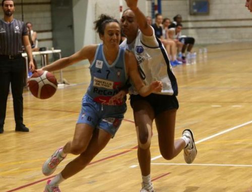 zorka