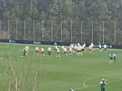 Celta